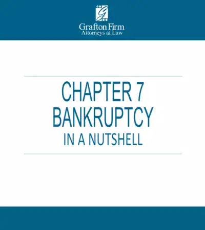 chapter 7 bankruptcy in a nutshell